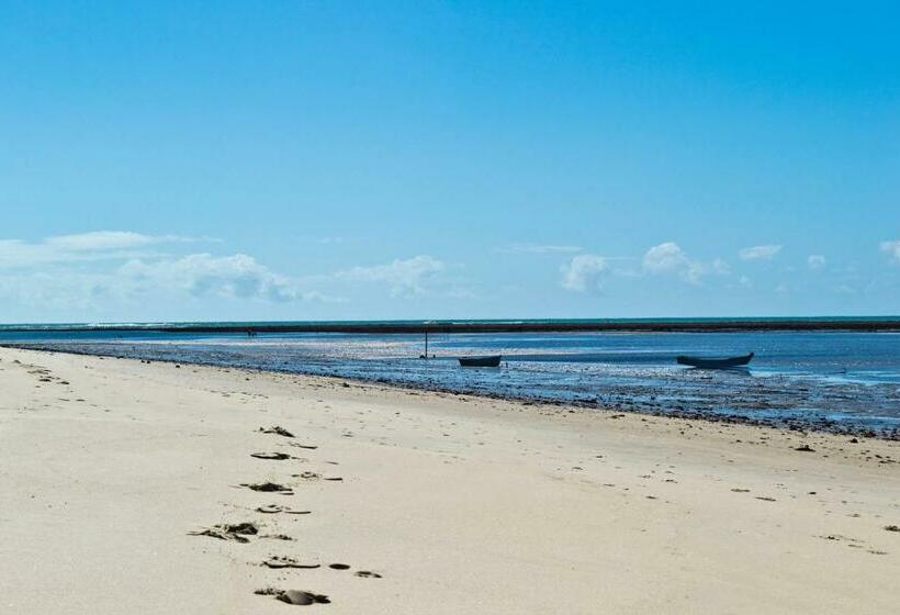 Jerusalém Ii   Rede Tonziro