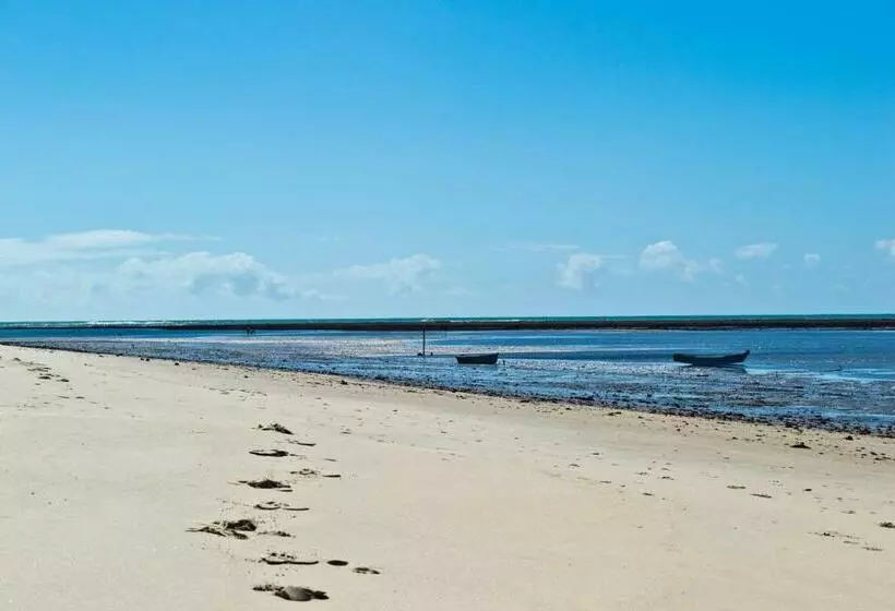 Jerusalém Ii   Rede Tonziro
