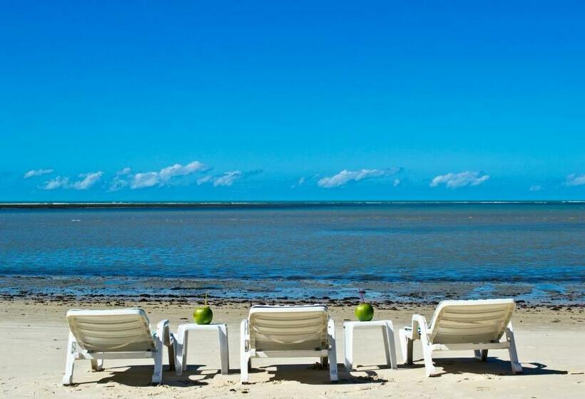 Jerusalém Ii   Rede Tonziro