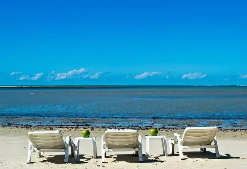 Jerusalém Ii   Rede Tonziro