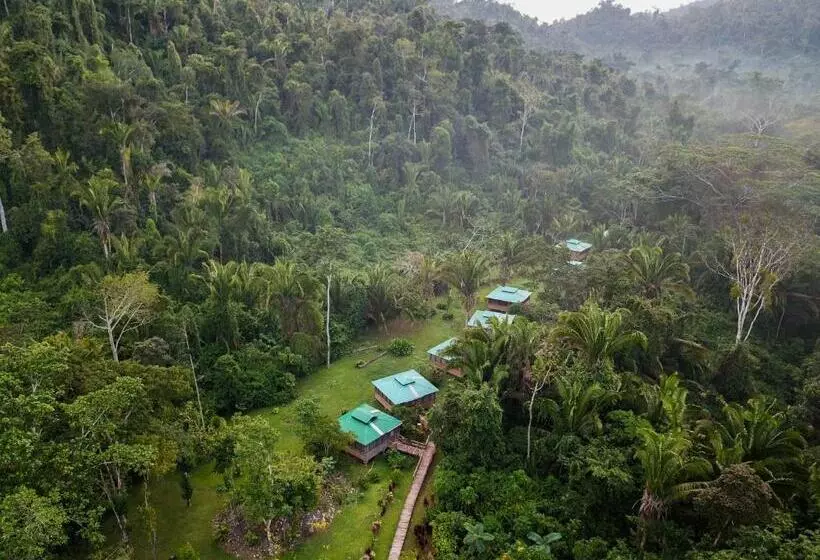 リゾートホテル Jaguar Creek