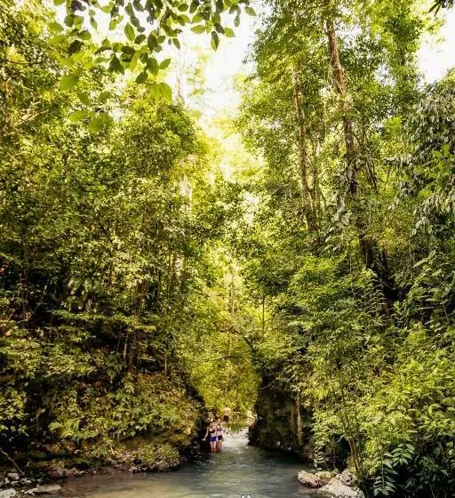 リゾートホテル Jaguar Creek