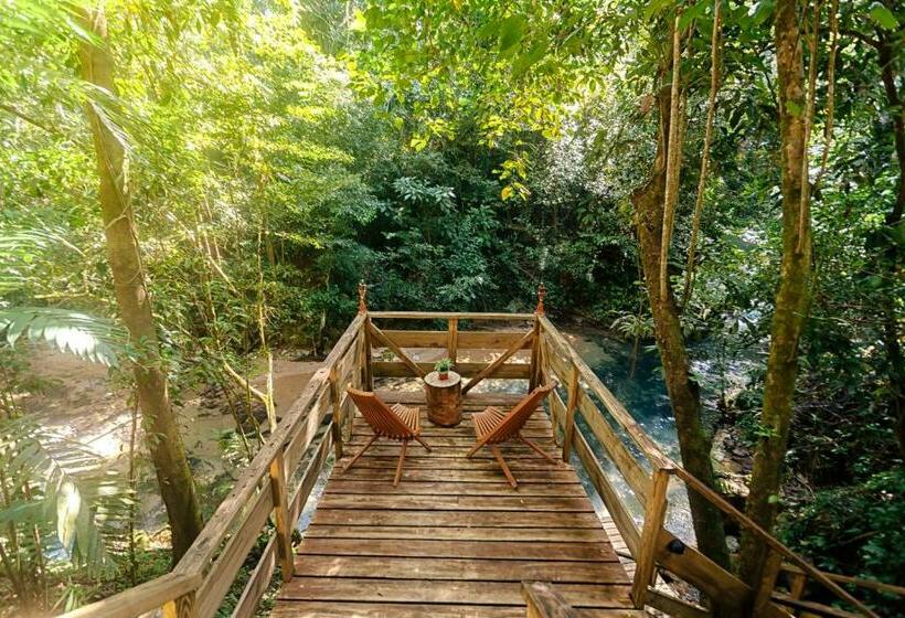 אתר נופש Jaguar Creek