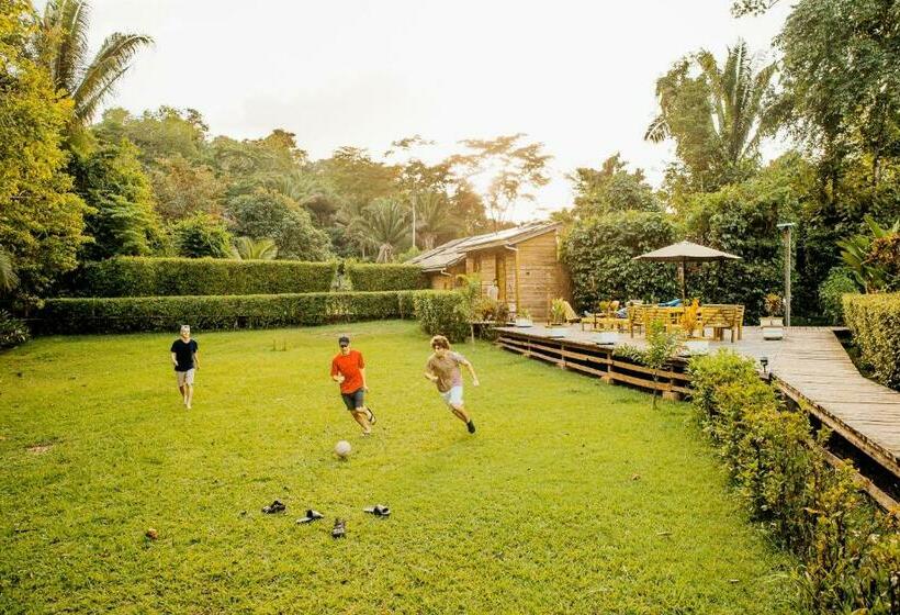 אתר נופש Jaguar Creek