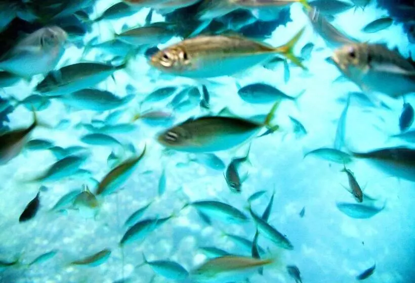 旅館 Noto Hyakurakusou