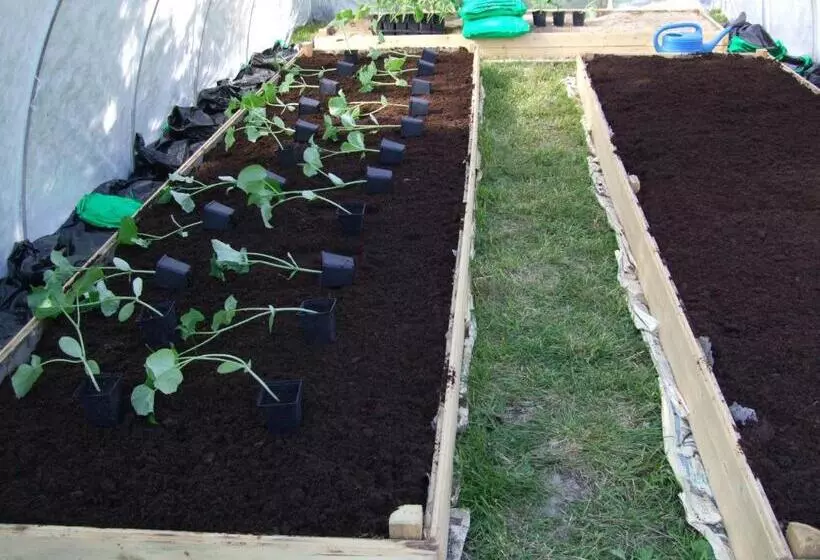 Allsta Gård Kretsloppshuset B&b