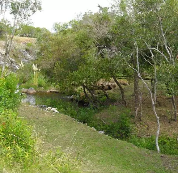 تختخواب و صبحانه El Ahora