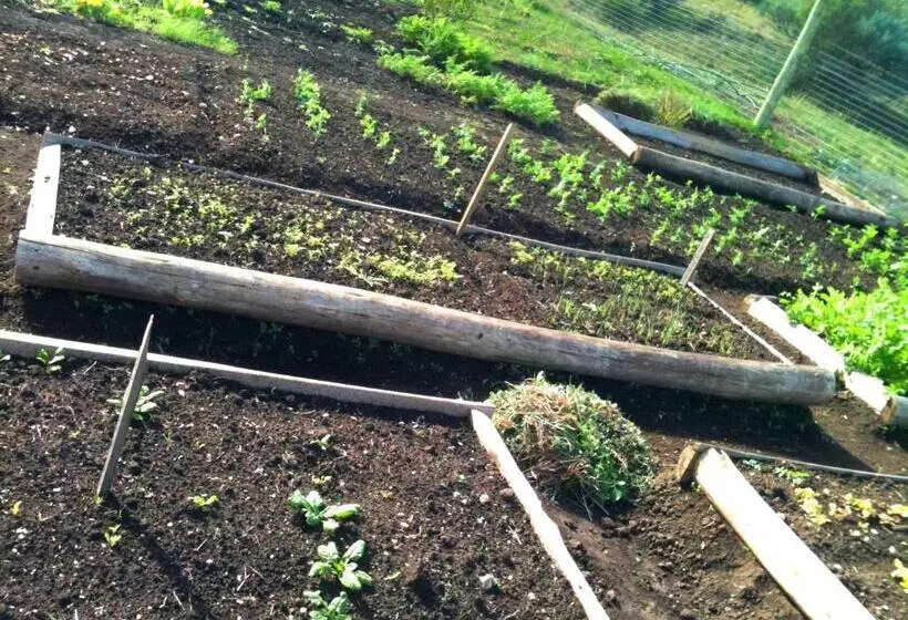 تختخواب و صبحانه El Ahora