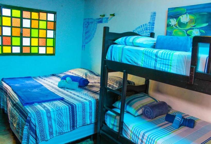 هتل Canto Da Coruja   Ecohospedagem