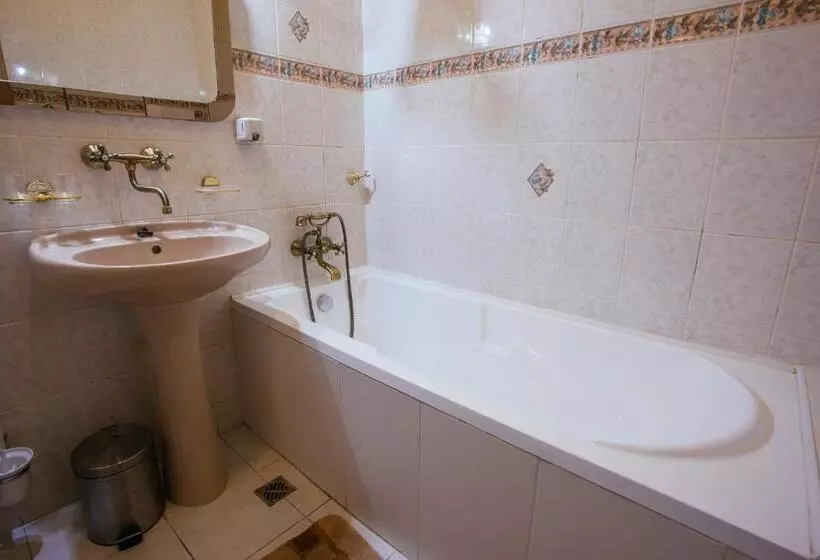 ホテル Centrál šaľa