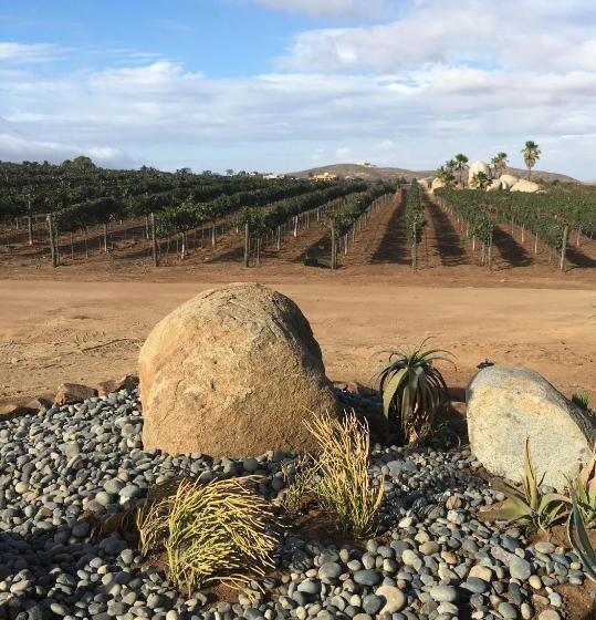 Отель En Kanto Valle De Guadalupe