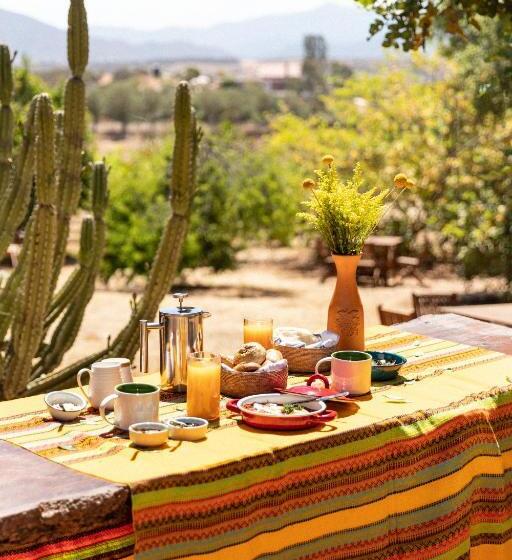 Отель En Kanto Valle De Guadalupe