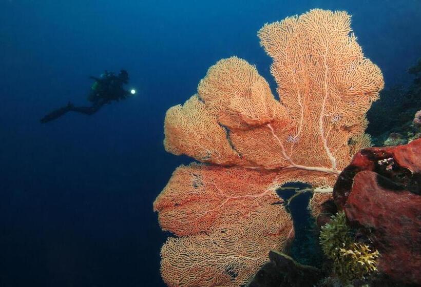 فندق Gangga Island Resort & Spa