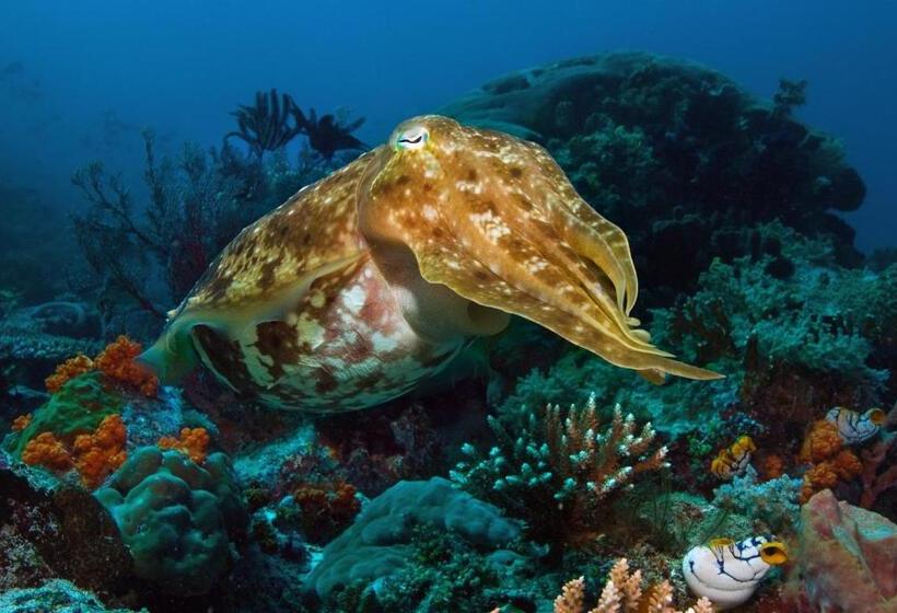 فندق Gangga Island Resort & Spa