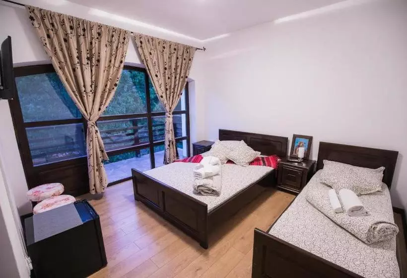 پانسیون Vatra Dacilor Transalpina