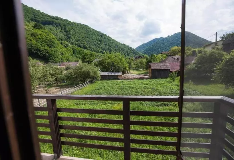 پانسیون Vatra Dacilor Transalpina