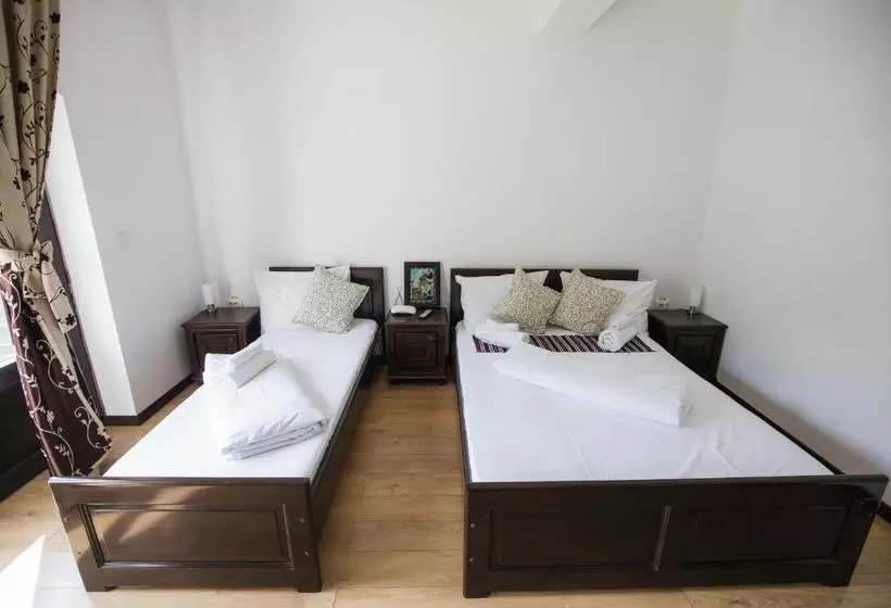 پانسیون Vatra Dacilor Transalpina