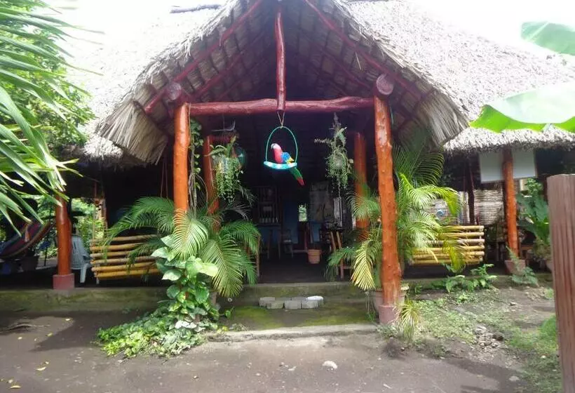 ペンション Hostal Rancho Sabor Isleño   Ometepe