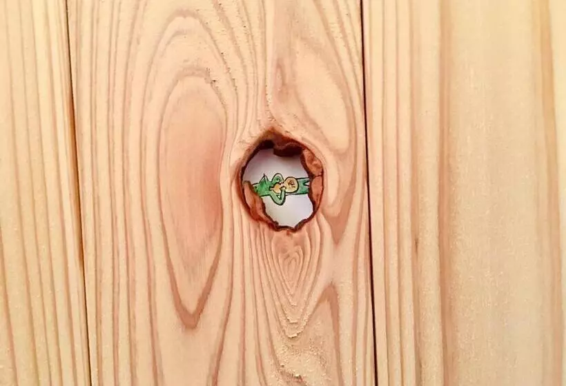 Pension Kappa Backpackers