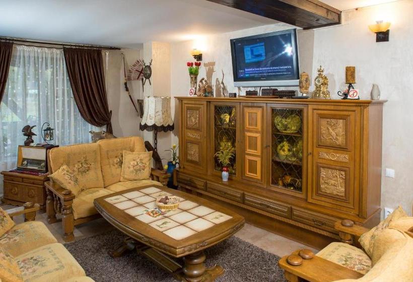 Пансион La Bucovineanca