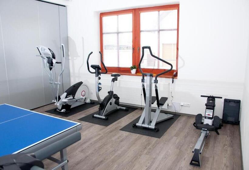 פנסיון Penzion Pohanka