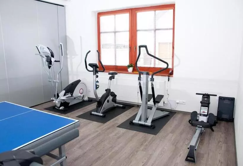 ペンション Penzion Pohanka