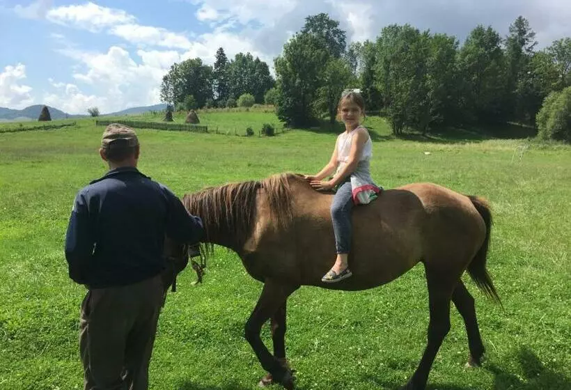 Majatalo Sadyba Pikuy