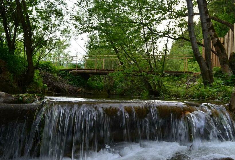 ペンション Sadyba Pikuy