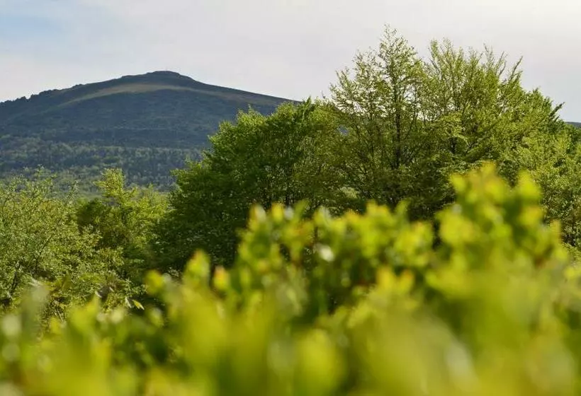 Majatalo Sadyba Pikuy