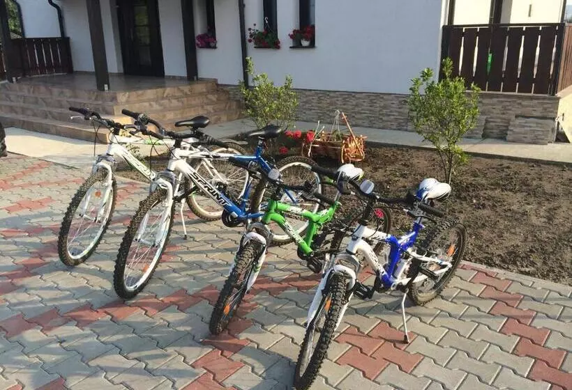 Pensiunea Dany   Crys