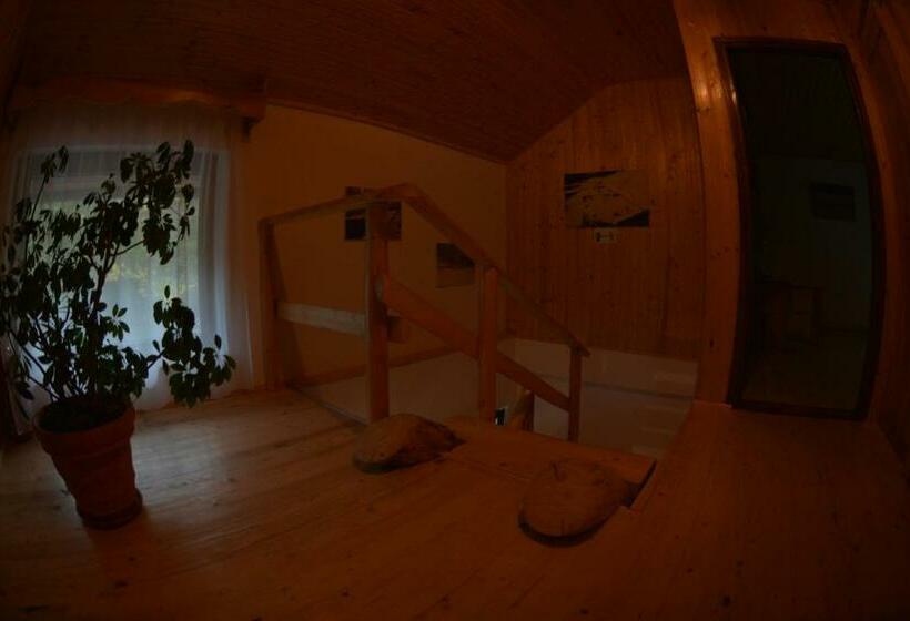 Pensiunea Lupul Dacic