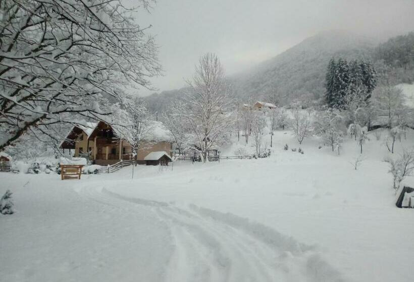 Pensiunea Lupul Dacic