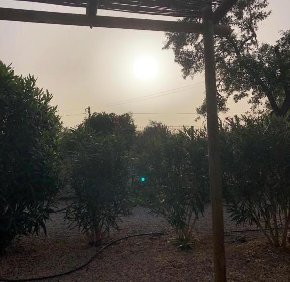 Quinta Das Amendoeiras B&b