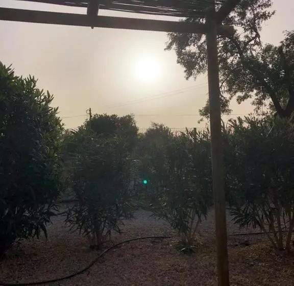 Quinta Das Amendoeiras B&b