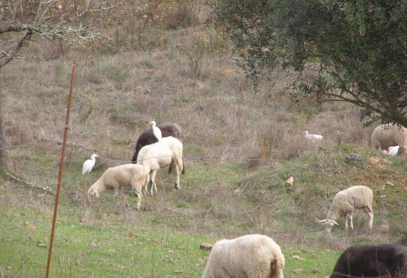 Quinta Das Amendoeiras B&b