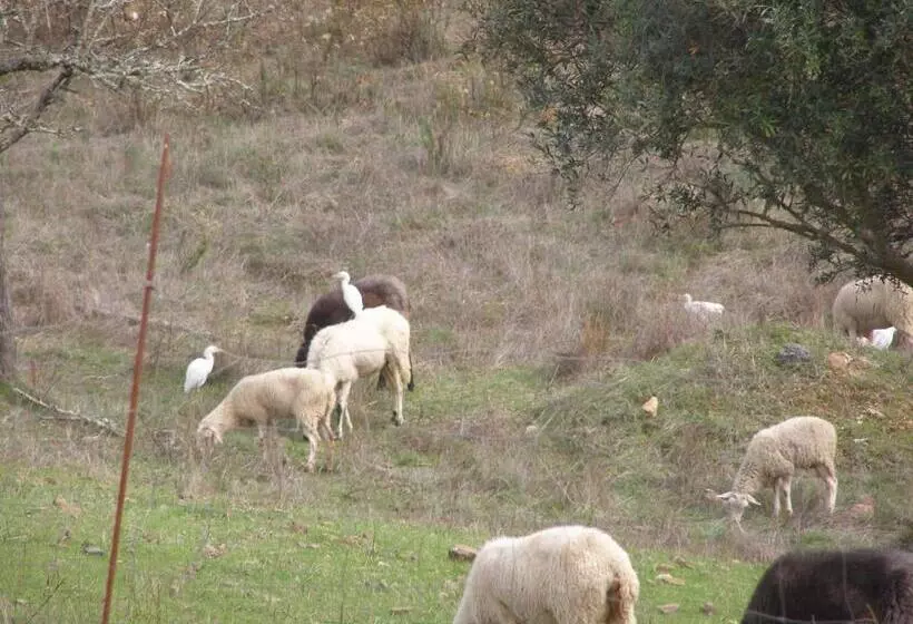 Quinta Das Amendoeiras B&b