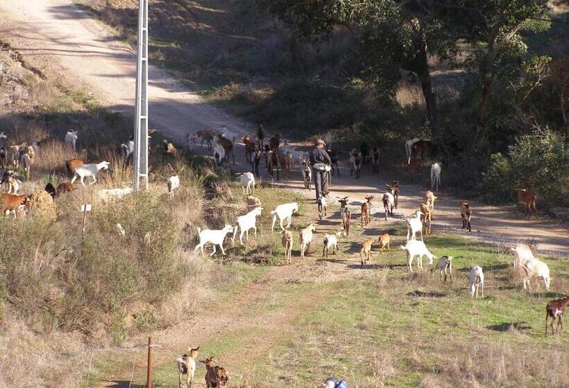 Quinta Das Amendoeiras B&b