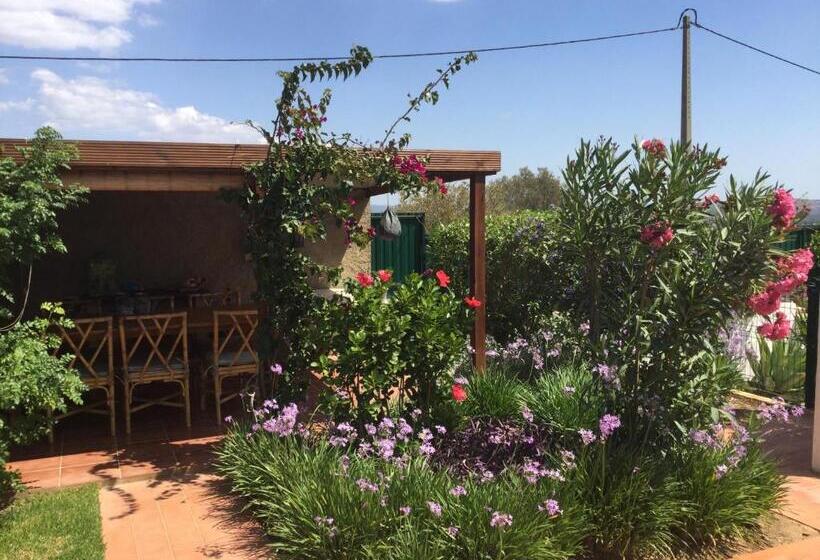 Quinta Das Amendoeiras B&b