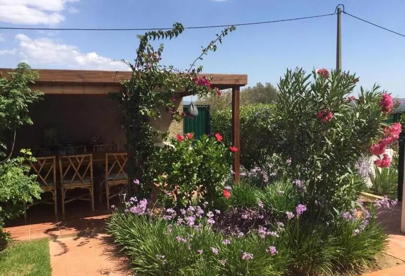 Quinta Das Amendoeiras B&b