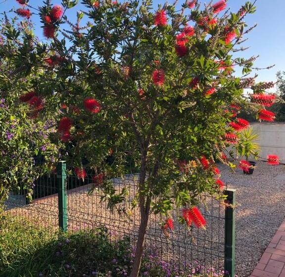 Quinta Das Amendoeiras B&b