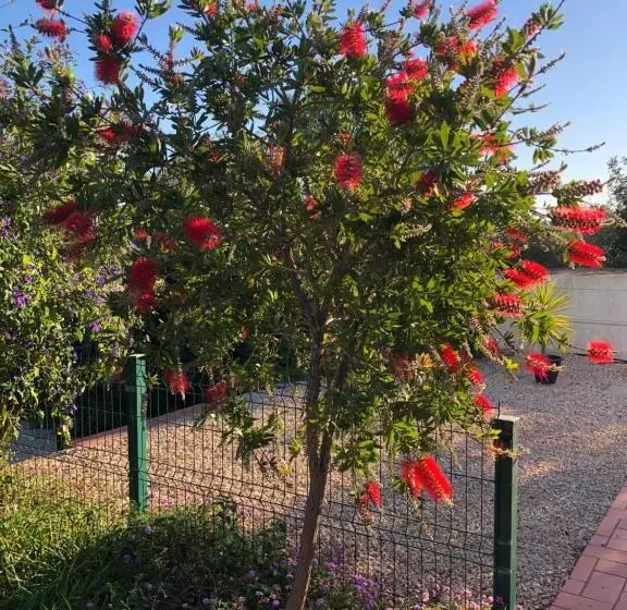 Quinta Das Amendoeiras B&b