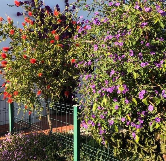 Quinta Das Amendoeiras B&b