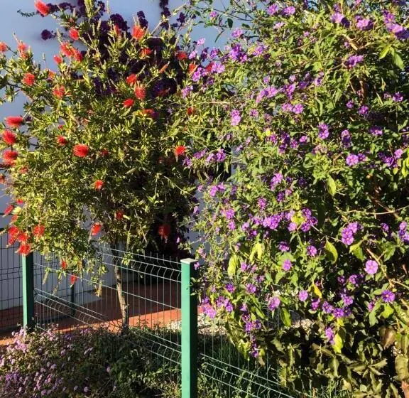 Quinta Das Amendoeiras B&b