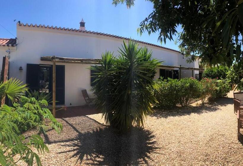 Quinta Das Amendoeiras B&b