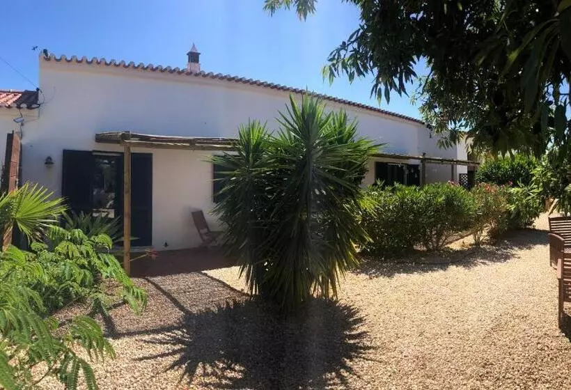 Quinta Das Amendoeiras B&b