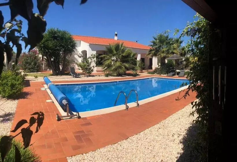 Quinta Das Amendoeiras B&b