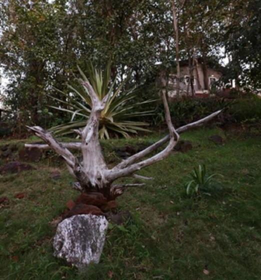 Kurort Sterling Nature Trails Dabhosa , Jawahar