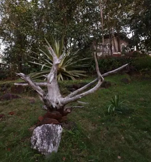 リゾートホテル Sterling Nature Trails Dabhosa , Jawahar