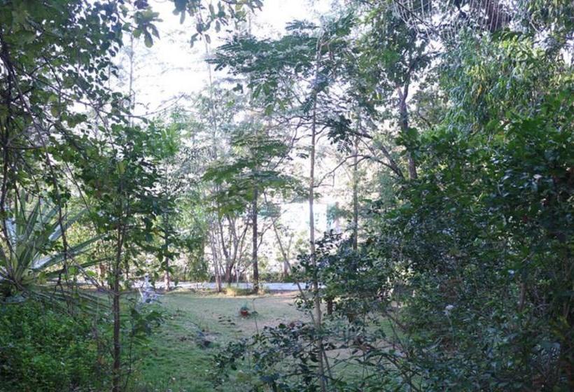 Kurort Sterling Nature Trails Dabhosa , Jawahar