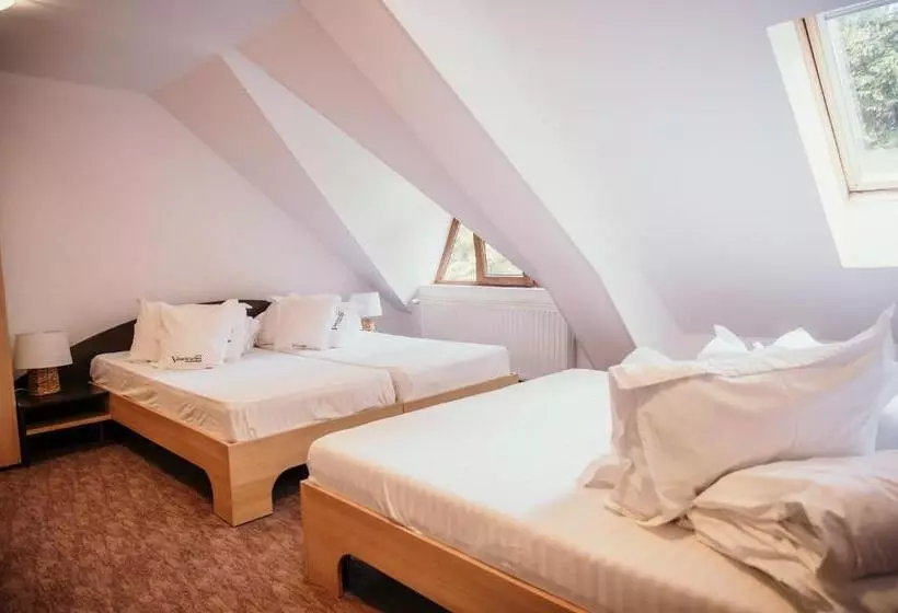 Lomakeskus Valea Lui Liman